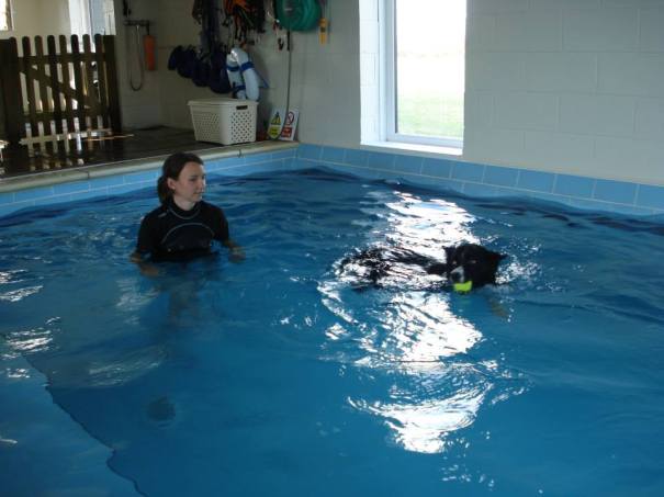 946610_577273405648751_819173092_n