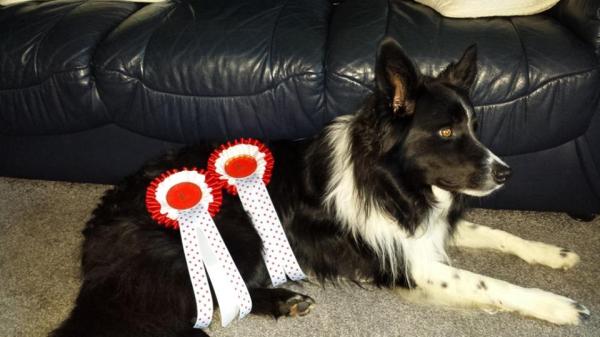 1174584_10153231398795578_1539815016_n