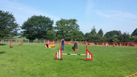 10336805_10152165896782513_6908741640058723969_n