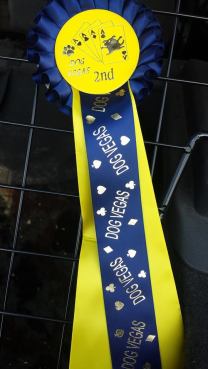 10374099_10154355631005578_5408077110105052468_n