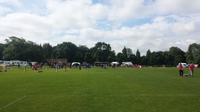 10502135_10154355631530578_7782175114506158035_n