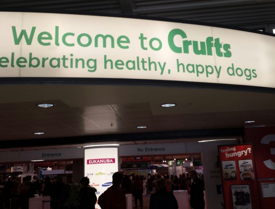 wpid-img_20150307_092634-12