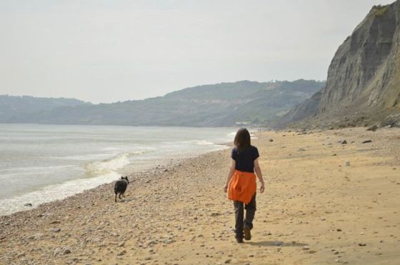 1001851_10152930503170578_2067108557_n