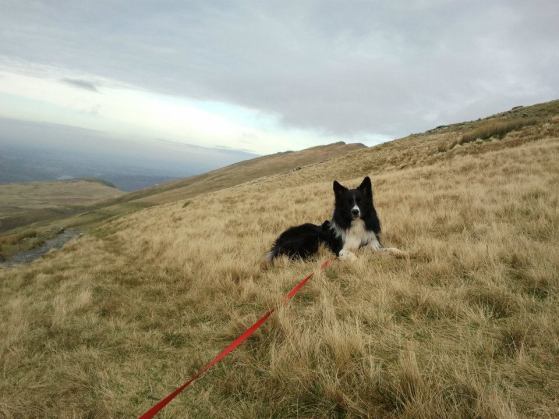 399850_10151176122245578_1589080853_n