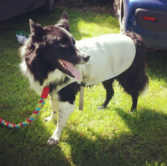 Screenshot_2015-07-05-18-02-24