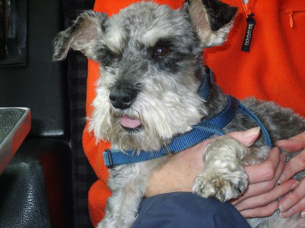 l_2af25da942e06c5a3901bdd53e3b025e