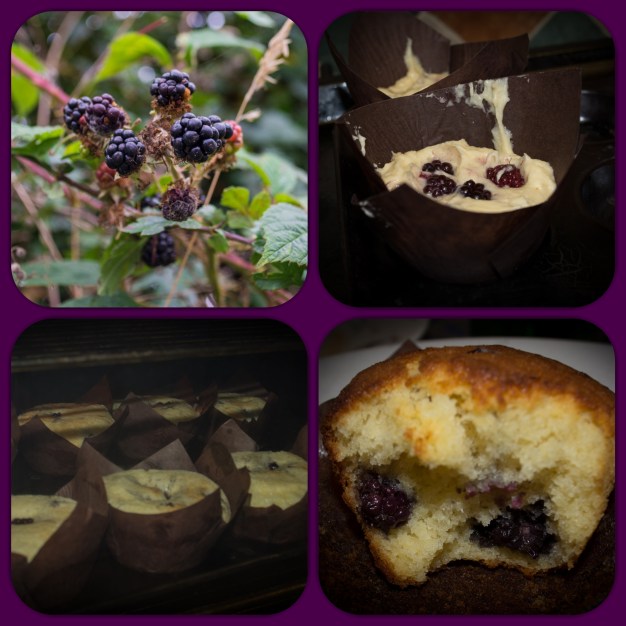 hand_picked_blackberries