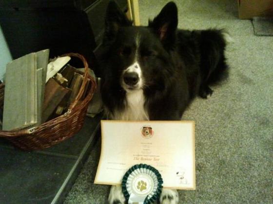 Guinness with his Silver award from 3 years ago