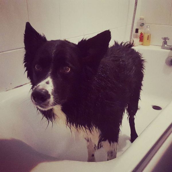 10409117_10156336618325578_2892362447478502541_n