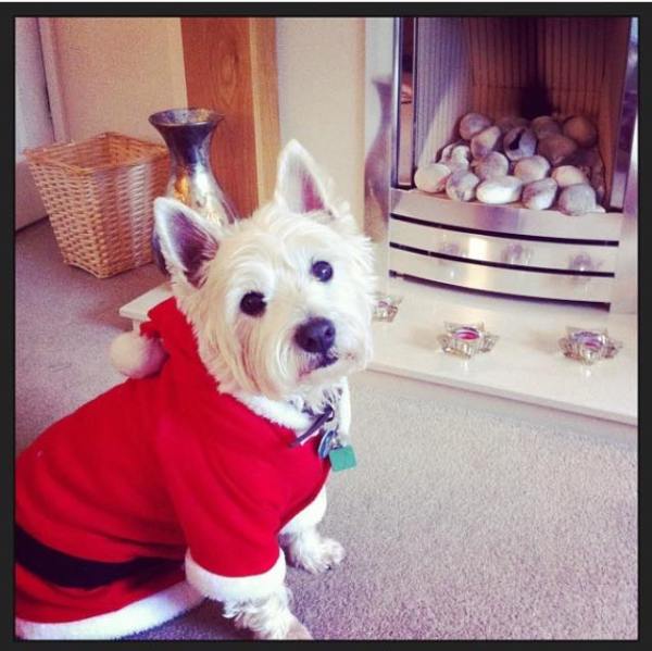 Photo used with kind permission of Sarah Newman