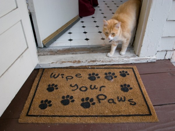 Photo Credit: Laughing Squid, everystockphoto.com