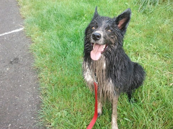 456592_10152041417320578_1225012007_o