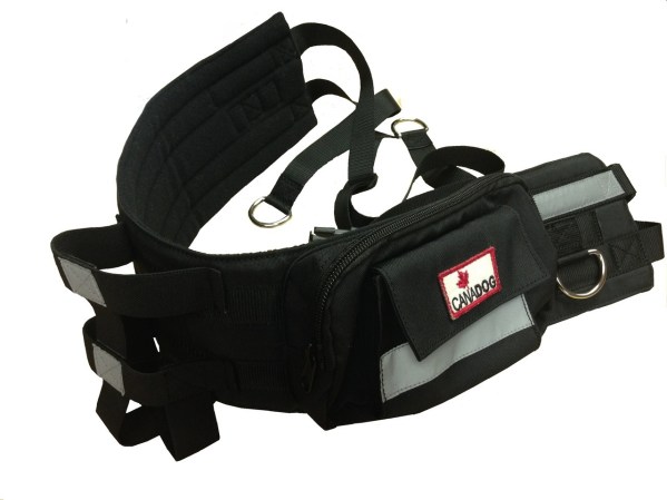 Image Source http://www.canadog.ca/