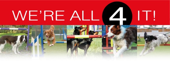 Wereall4it-22_11_14.jpg