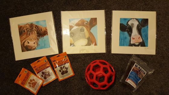 17211792_10158382160585578_511272275205656323_o