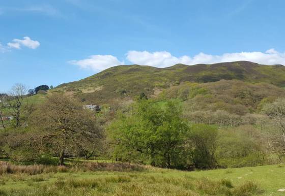 18237861_10158663832390578_7851449635664048308_o