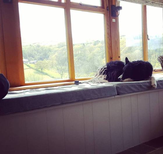 18301152_10158659145205578_6510114065458251777_n