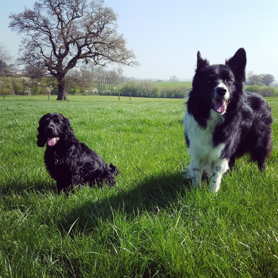 IMG_20170408_133810_845