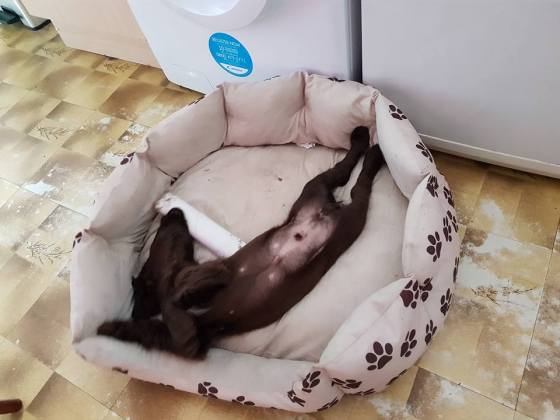 19990116_10159024275385578_7577606641001153353_n