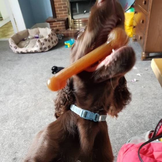 20799365_10159210203340578_84941072568077984_n