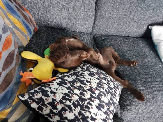 21557555_10159342425625578_3809115957814940984_n