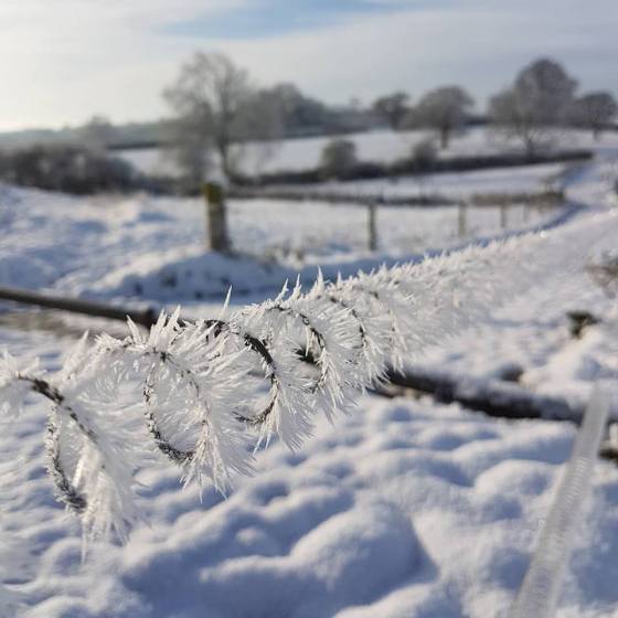 25157955_10156784070712699_8891226160391147519_n