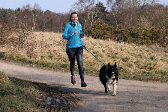 28164475_10160089757615578_8602515699797583624_o