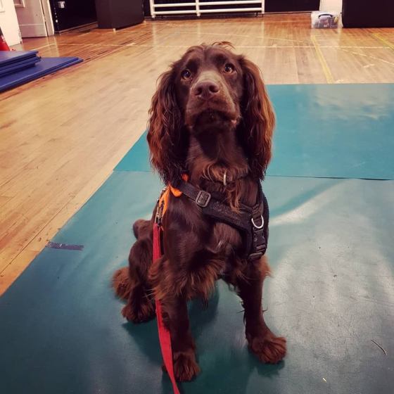 30704840_10160343129290578_28632373708980224_n