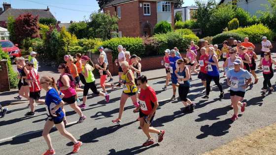 36885945_2162589323770934_2752308067973464064_o