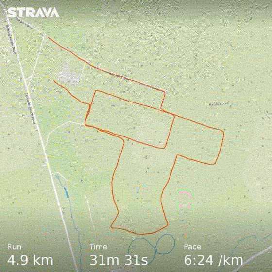 IMG_20181117_100959_458