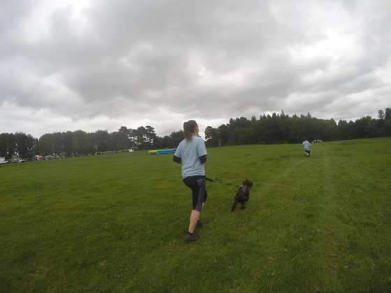 42826169_10160987357415578_2247273991897088000_o