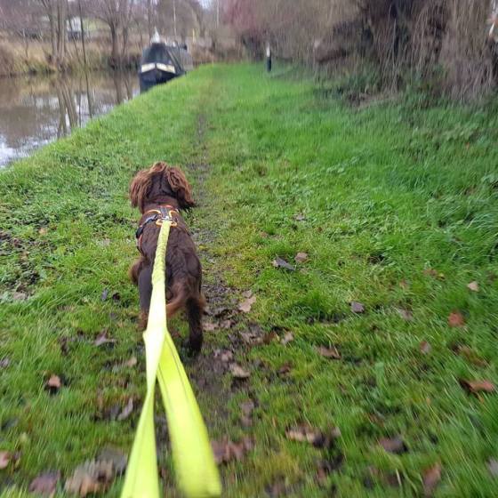 47246312_10161221202365578_7348054204339978240_n