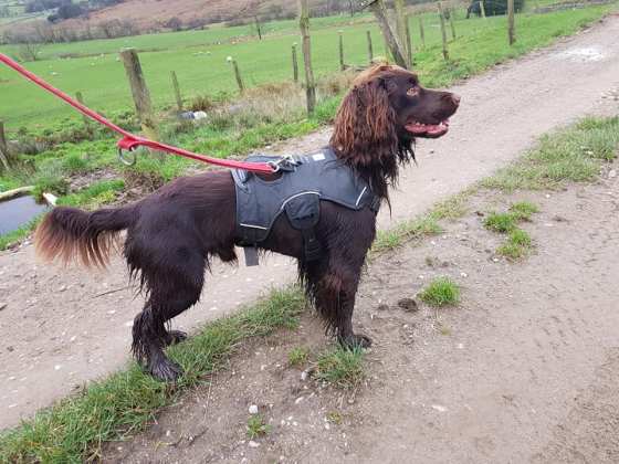 49121573_10161328794080578_2003758412889849856_n